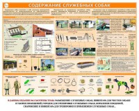 Комплект плакатов "Кинология" - fgospostavki.ru - Артём