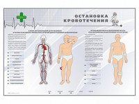 Электрифицированный стенд "Остановка кровотечения" - fgospostavki.ru - Артём