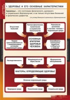 Комплект таблиц. ОБЖ. Здоровый образ жизни. - fgospostavki.ru - Артём