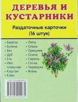 Раздаточные карточки "Деревья и кустарники" - fgospostavki.ru - Артём