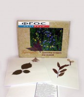 Гербарий "Дикорастущие растения" (28 видов) - fgospostavki.ru - Артём