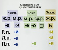 Набор магнитных карточек "Склонение имен существительных" - fgospostavki.ru - Артём