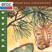 Ботаника. Микрофотографии. (Цифровая база изображений) - fgospostavki.ru - Артём