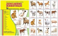 Демонстрационные карточки "Домашние животные" - fgospostavki.ru - Артём