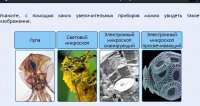 Интерактивные курсы. Биология 5 класс. Расширенный - fgospostavki.ru - Артём