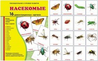 Демонстрационные карточки "Насекомые" - fgospostavki.ru - Артём