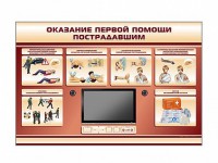 Многофункциональный интерактивный стенд-тренажер "Оказание первой помощи пострадавшим" для учащихся общеобразовательных учреждений - fgospostavki.ru - Артём