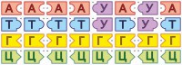 Модель-аппликация Удвоение ДНК и транскрипция РНК - fgospostavki.ru - Артём