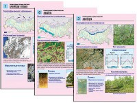 Комплект таблиц по географии "Природные зоны России" раздаточные (цветные, ламинированные, А4, 10 штук) - fgospostavki.ru - Артём
