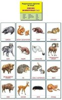 Раздаточные карточки "Дикие животные (1)" - fgospostavki.ru - Артём