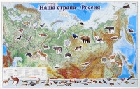 Магнитные карточки "Животные" - fgospostavki.ru - Артём