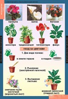 Комплект таблиц. Окружающий мир 1 класс. - fgospostavki.ru - Артём