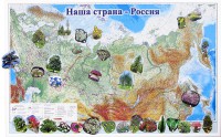 Магнитные карточки "Растения" - fgospostavki.ru - Артём