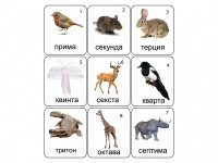 Набор магнитных карточек по музыке "Животные" (9 штук) - fgospostavki.ru - Артём