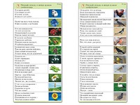 Комплект карточек (10) "Обучающий калейдоскоп. Природа" - fgospostavki.ru - Артём