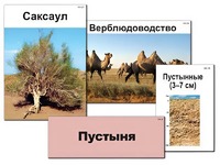 Модель-аппликация "Природные зоны России" (ламинированная) - fgospostavki.ru - Артём