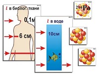 Модель-аппликация "Явление радиоактивности" (ламинированная) - fgospostavki.ru - Артём