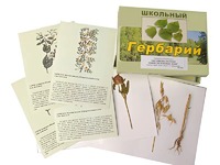 Гербарий "Систематика растений. Семейство Бобовые. Злаки" (раздаточный) - fgospostavki.ru - Артём