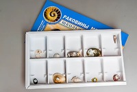 Коллекция "Раковины моллюсков" - fgospostavki.ru - Артём