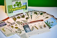 Гербарий к курсу основ общей биологии - fgospostavki.ru - Артём