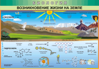 Таблица "Возникновение жизни на земле" (100х140 сантиметров, винил) - fgospostavki.ru - Артём