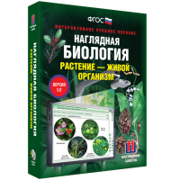 Наглядная биология. Растение - живой организм - fgospostavki.ru - Артём