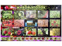 Комплект оборудования "Живой уголок" (растения) с тифлопереводом и сурдокомментариями - fgospostavki.ru - Артём