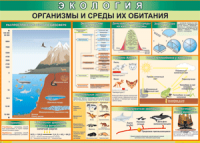 Таблица "Организмы и среды их обитания" (100х140 сантиметров, винил) - fgospostavki.ru - Артём
