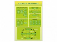 Стенды "Схемы по экономике" - fgospostavki.ru - Артём