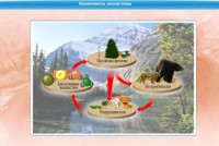 Интерактивные курсы. Биология 7 класс. Базовый. - fgospostavki.ru - Артём