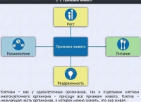 Интерактивные курсы. Биология 5 класс. Базовый - fgospostavki.ru - Артём