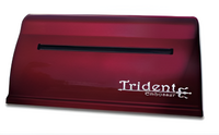 Принтер для печати рельефно-точечным шрифтом Брайля Trident - fgospostavki.ru - Артём