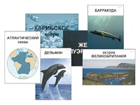 Модель-аппликация "Океаны. Знакомство" (ламинированная) - fgospostavki.ru - Артём