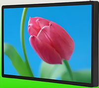 Киоск информационный настенный сенсорный 27" (вариант 2) - fgospostavki.ru - Артём