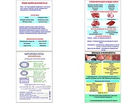 Плакаты ПРОФТЕХ "Классификации и виды мяса" (4 пл, винил, 70х100) - fgospostavki.ru - Артём