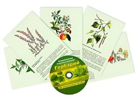 Интерактивный наглядный комплекс "Гербарий "Для начальной школы" - fgospostavki.ru - Артём