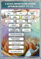 Стенд "Схема приготовления дрожжевого теста" - fgospostavki.ru - Артём