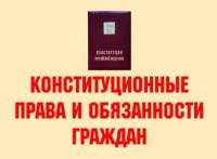 Комплект плакатов "Конституционные права и обязанности граждан" - fgospostavki.ru - Артём
