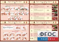 Стенд "Вязание крючком" - fgospostavki.ru - Артём