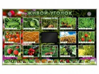 Комплект оборудования "Живой уголок" (растения) - fgospostavki.ru - Артём