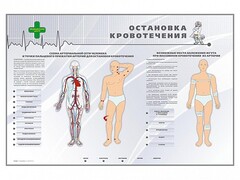 Электрифицированный стенд "Остановка кровотечения" - fgospostavki.ru - Артём
