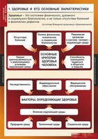 Комплект таблиц. ОБЖ. Здоровый образ жизни. - fgospostavki.ru - Артём