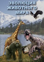 DVD "Эволюция животного мира" - fgospostavki.ru - Артём