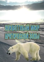 DVD "Животный мир Арктической зоны" - fgospostavki.ru - Артём