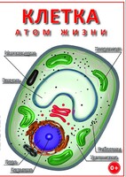 DVD "Клетка - "атом жизни" - fgospostavki.ru - Артём