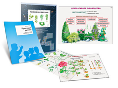 Комплект кодотранспарантов "Культурные растения" - fgospostavki.ru - Артём