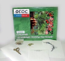 Гербарий "Основные группы растений" (52 листа) - fgospostavki.ru - Артём