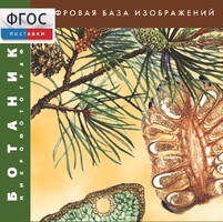 Ботаника. Микрофотографии. (Цифровая база изображений) - fgospostavki.ru - Артём