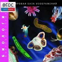 Биология. Микрофотографии. (Цифровая база изображений) - fgospostavki.ru - Артём