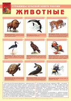 Комплект плакатов "Красная Книга России (животные, растения)" - fgospostavki.ru - Артём